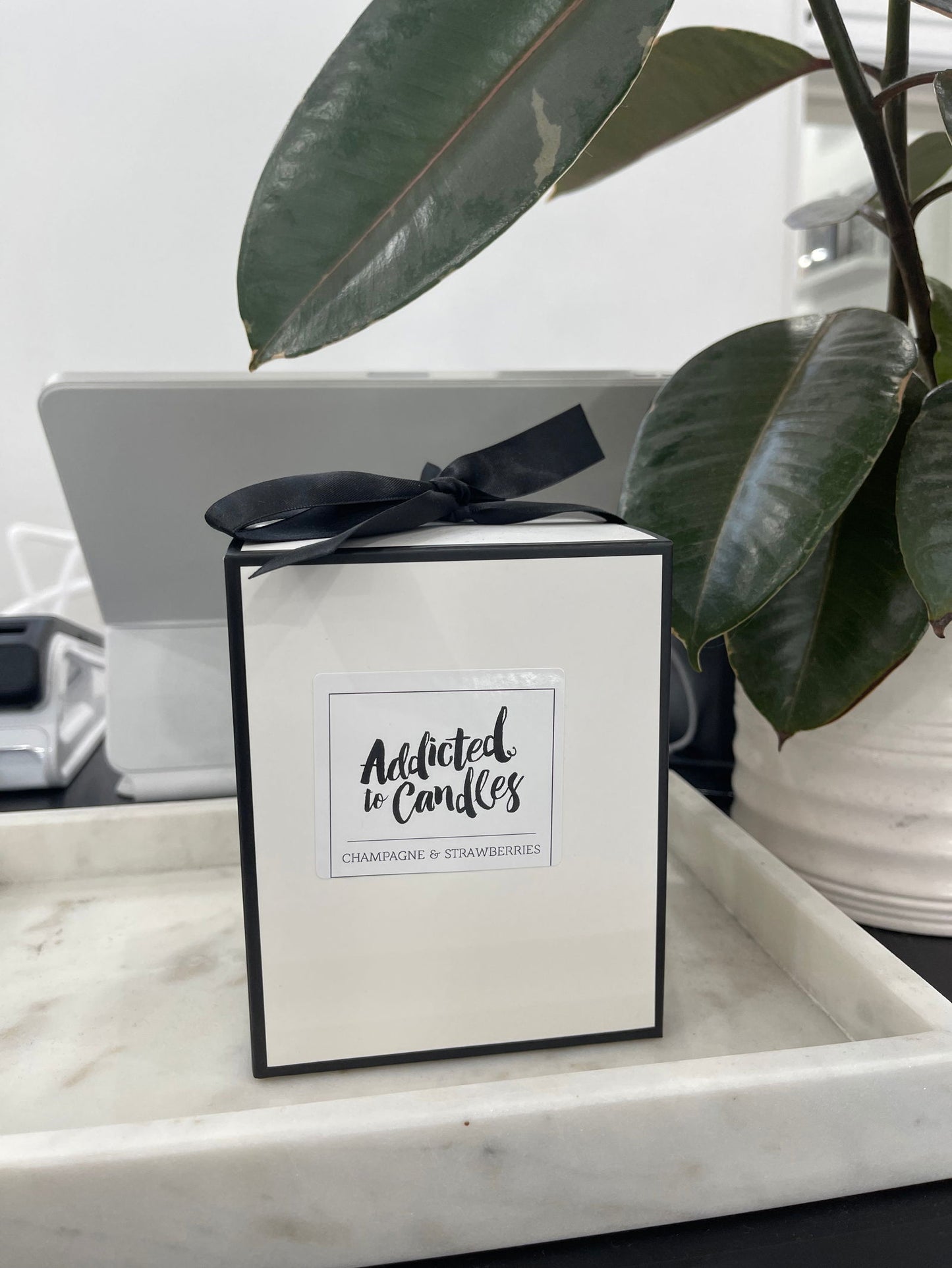 Addicted To Candles - Luxury Large Glass - WANTED AND WILD