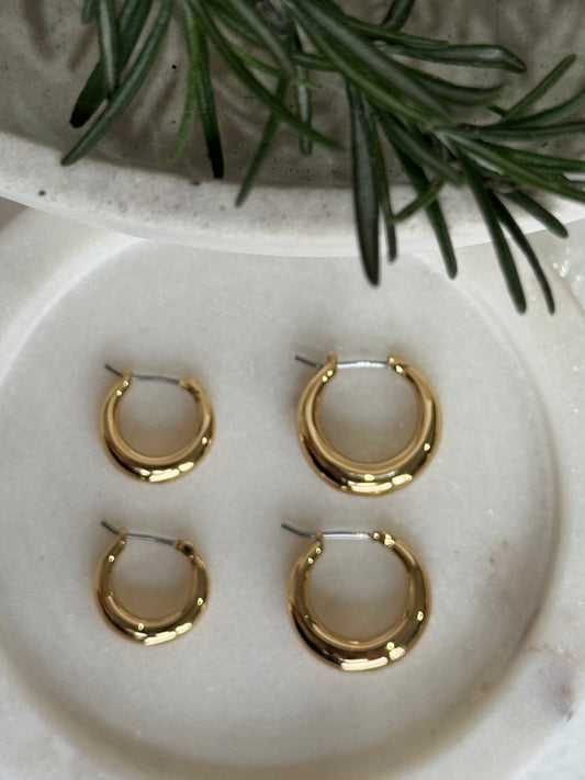 Penny Hoop Earrings Set