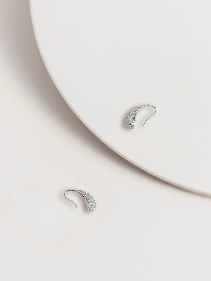 Chloe Crystal Drop Hook Earrings - WANTED AND WILD