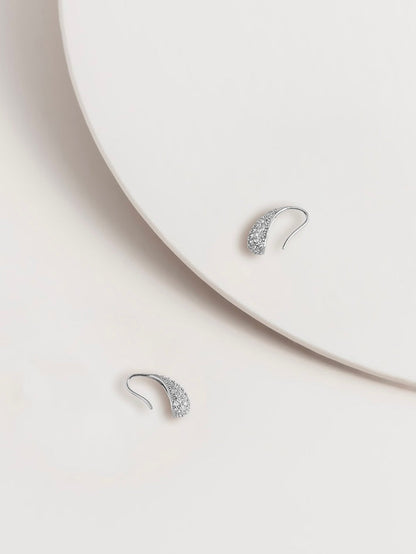 Chloe Crystal Drop Hook Earrings - WANTED AND WILD