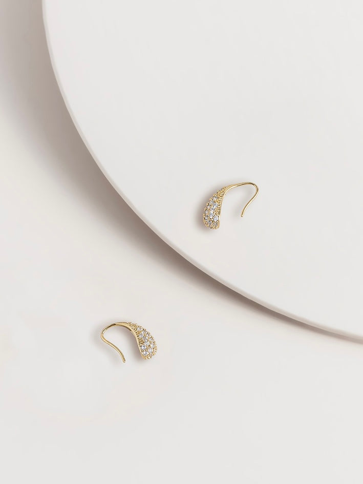 Chloe Crystal Drop Hook Earrings - WANTED AND WILD